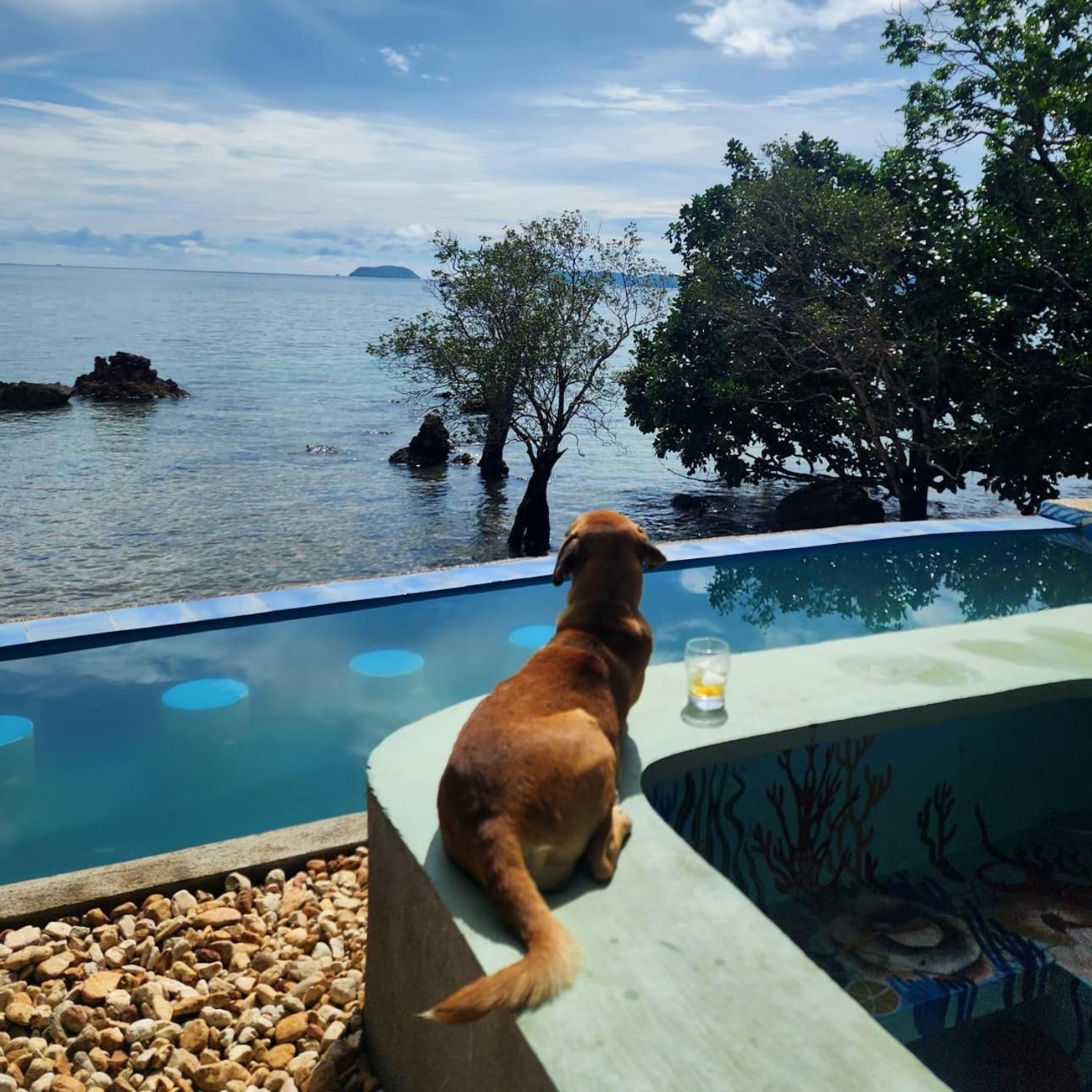 Cocovana Beach Resort (Adults Only) Бусуанга Экстерьер фото